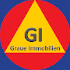 Graue Immobilien